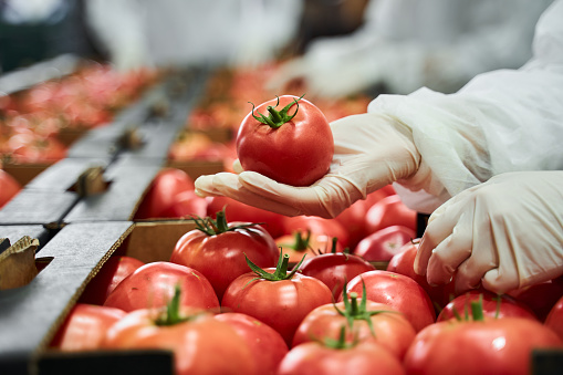 Food manufacturing