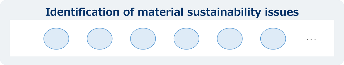 Assessing sustainability issues